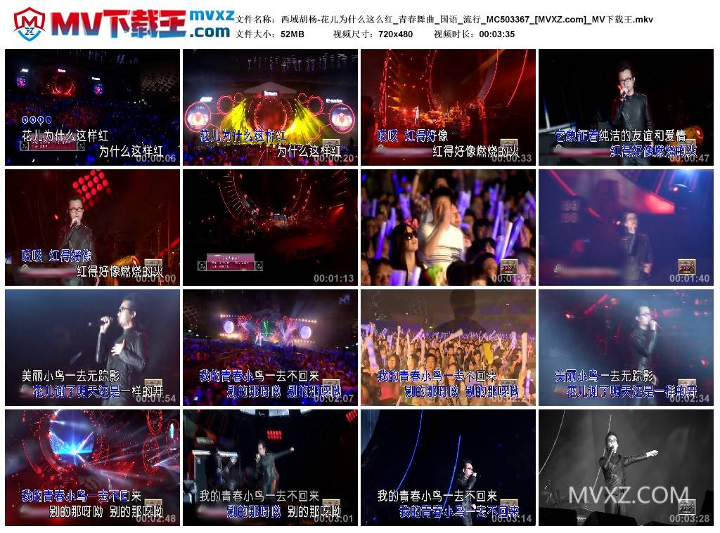 西域胡杨-花儿为什么这么红_青春舞曲_国语_流行_MC503367